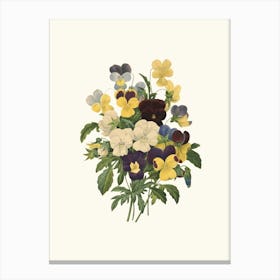 Antique Vintage Flower Illustration - Pansy Canvas Print