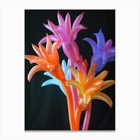 Bright Inflatable Flowers Kangaroo Paw 3 Canvas Print