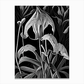 Jack In The Pulpit Wildflower Linocut 1 Canvas Print