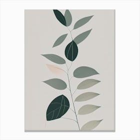 Neem Herb Simplicity 2 Canvas Print