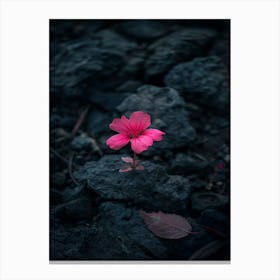 Flower In The Dark 36 Canvas Print