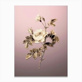 Gold Botanical Pink Rose Turbine on Rose Quartz n.4283 Canvas Print