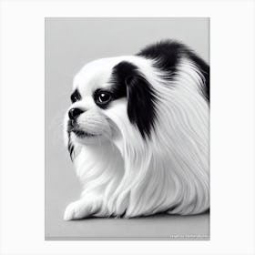 Japanese Chin B&W Pencil dog Canvas Print