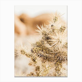 Cholla Cactus Scenery Canvas Print