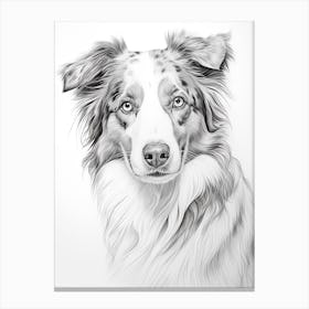 Australian Shepherd Dog, Line Drawing 1 Canvas Print