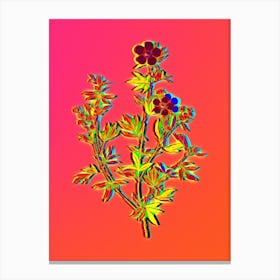 Neon Yellow Buttercup Flowers Botanical in Hot Pink and Electric Blue n.0270 Canvas Print