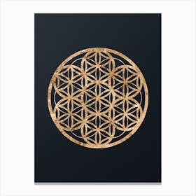 Abstract Geometric Gold Glyph on Dark Teal n.0331 Canvas Print