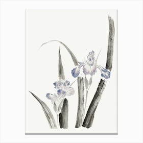 Hokusai Chinese Iris Canvas Print