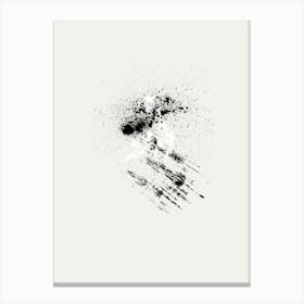 Splatter Painting In Black And White Canvas Print