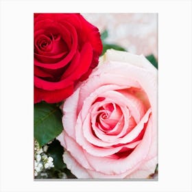 A Closeup Of A Rose The Archetype Of Romance And Beauty Rendered In Vibrant Hues Such As Tender Pi (4) Canvas Print