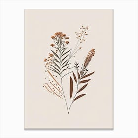 Boneset Spices And Herbs Retro Minimal 4 Canvas Print