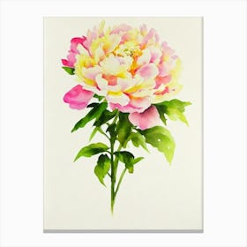 Peony 1 Vintage Flowers Flower Canvas Print