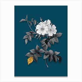 Vintage White Rosebush Black and White Gold Leaf Floral Art on Teal Blue n.0198 Canvas Print