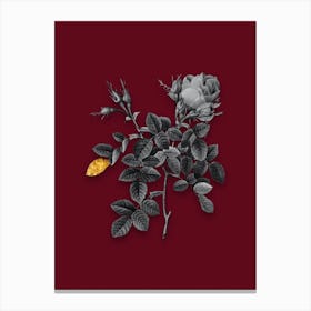 Vintage Dwarf Damask Rose Black and White Gold Leaf Floral Art on Burgundy Red n.0688 Canvas Print