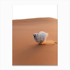Dog running in the Sahara desert, Morocco Canvas Print