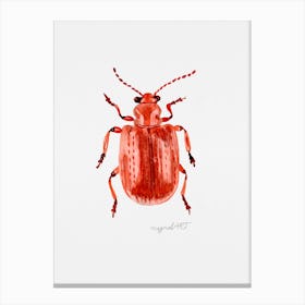 Lilioceris merdigera, the Onion Beetle, watercolor artwork Canvas Print