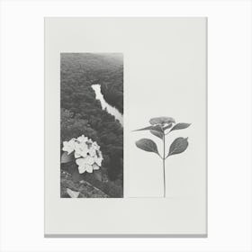 Hydrangea Flower Photo Collage 4 Canvas Print