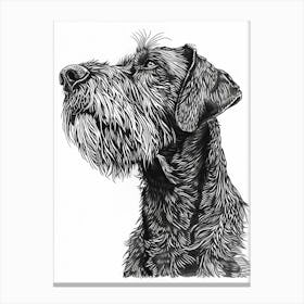 Hairy Dog Line Sketch 3 Canvas Print