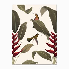 Heliconia Old White   Canvas Print