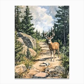 A Deer In The Woods 1 Canvas Print