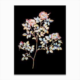 Stained Glass Rose Corymb Mosaic Botanical Illustration on Black n.0008 Canvas Print