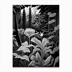 University Of British Columbia Botanical Garden, Canada Linocut Black And White Vintage Canvas Print