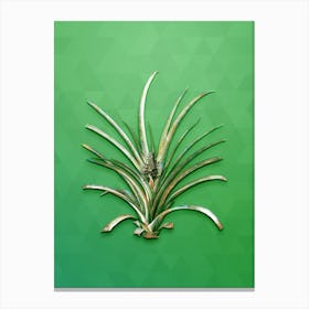 Vintage Pineapple Botanical Art on Classic Green n.1213 Canvas Print