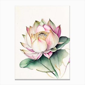 Lotus Flower Pattern Watercolour Ink Pencil 3 Canvas Print