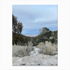 View From The Top Of A Mountain Canvas Print