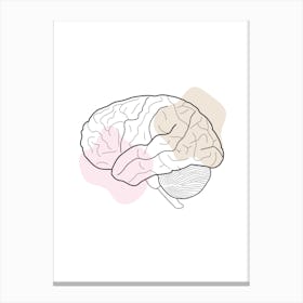 Human Brain Illustration Canvas Print