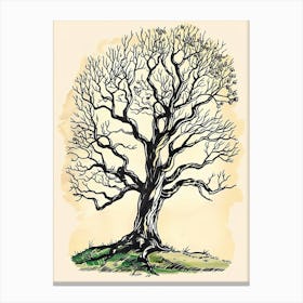 Ebony Tree Storybook Illustration 1 Canvas Print