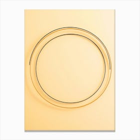 Oval Frame On Yellow Background 1 Canvas Print