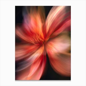 Abstract Flower 5 Canvas Print