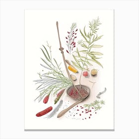 Butcher S Broom Spices And Herbs Pencil Illustration 2 Canvas Print