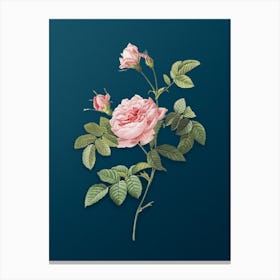 Vintage Pink Rose Turbine Botanical Art on Teal Blue n.0498 Canvas Print