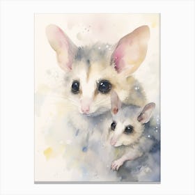 Light Watercolor Painting Of A Baby Possum 3 Canvas Print