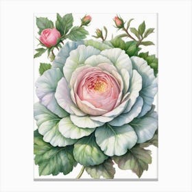Chinese Cabbage Flower Canvas Print