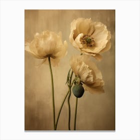 Poppies 24 Canvas Print