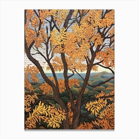 Black Locust 3 Vintage Autumn Tree Print  Canvas Print