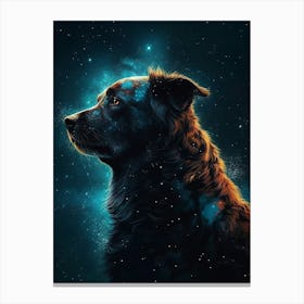 Doge Galaxy Canvas Print