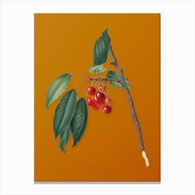 Vintage Cherry Botanical on Sunset Orange n.0808 Canvas Print