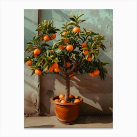 Orange Tree 12 Canvas Print