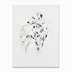 Dalmation Dog Charcoal Line 1 Canvas Print