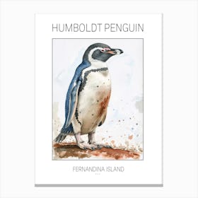 Humboldt Penguin Fernandina Island Watercolour Painting 3 Poster Canvas Print