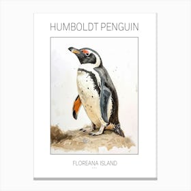 Humboldt Penguin Floreana Island Watercolour Painting 1 Poster Canvas Print