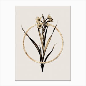 Gold Ring Sword Lily Glitter Botanical Illustration n.0196 Canvas Print