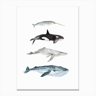 Sea Life Four Whales Canvas Print