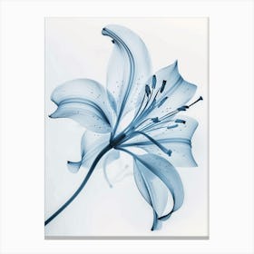 Blue Lily Canvas Print