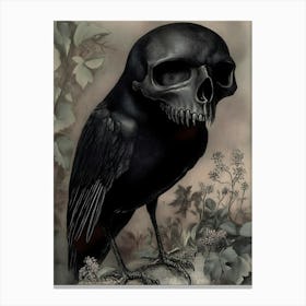 Crow Skull Canvas Print