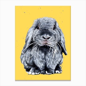 Grey One The Bunny Canvas Print